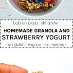 granola sin aceite y yogur casero de fresas
